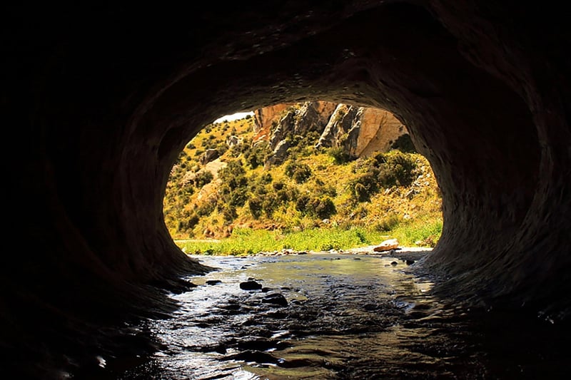 Glowworm Caves of New Zealand